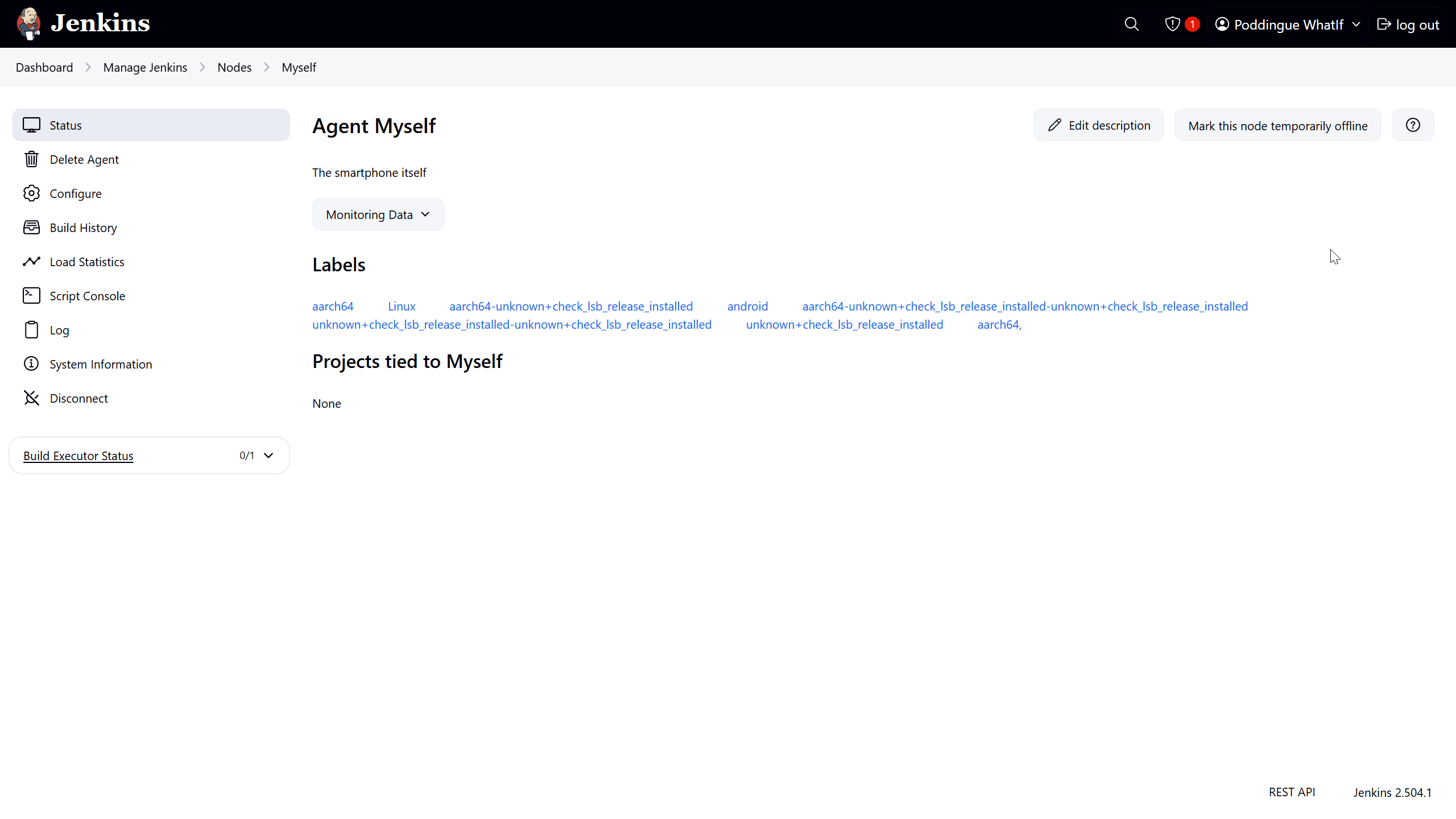 Jenkins agent connected